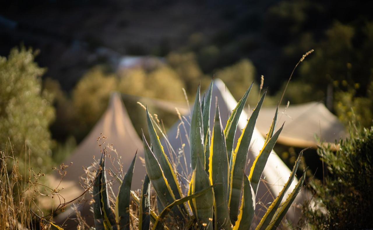 Campo Agave Luxury Tents Sayalonga Exteriör bild
