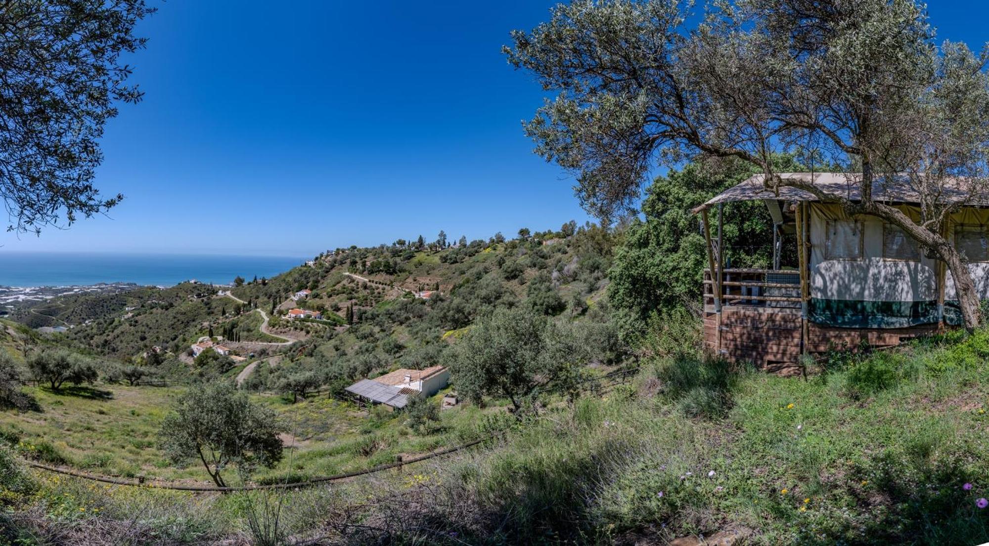 Campo Agave Luxury Tents Sayalonga Exteriör bild
